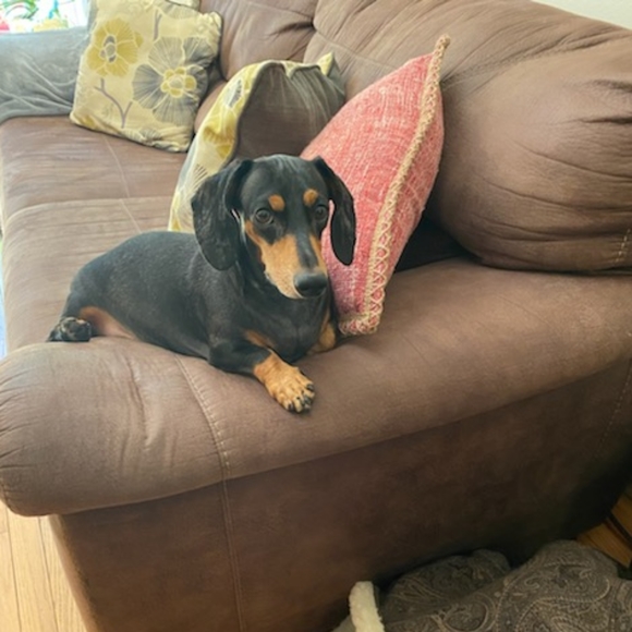 Meet your Posher, Les - Picture 1 of 2